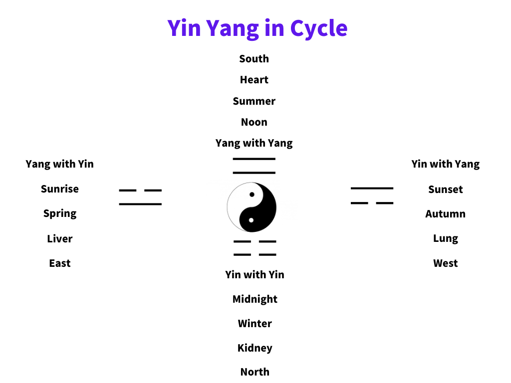 Yin Yang in Cycle